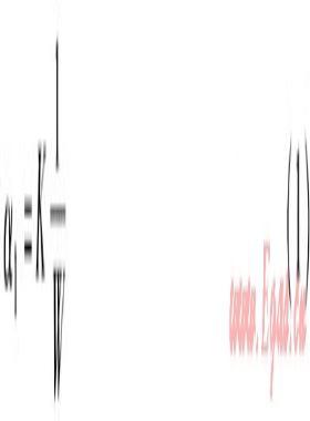 燃?xì)饣Q時(shí)大氣式燃燒器一次空氣系數(shù)的變化