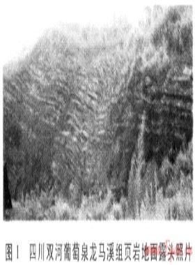 上揚子區(qū)志留系頁巖氣成藏條件