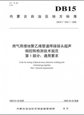 燃氣用埋地聚乙烯管道焊接接頭超聲相控陣檢測技術(shù)規(guī)范 第1部分：通用要求 DB15∕T 1819.1-2020