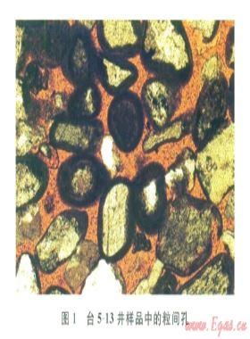 柴達(dá)木盆地臺南氣田低阻氣藏成因機理及測井評價