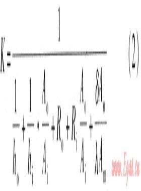 螺旋管傳熱系數(shù)實(shí)驗(yàn)研究和溫度場(chǎng)數(shù)值模擬