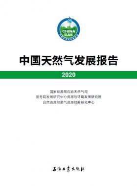 2020中國天然氣發(fā)展報(bào)告（含2017、2018、2019、2020）